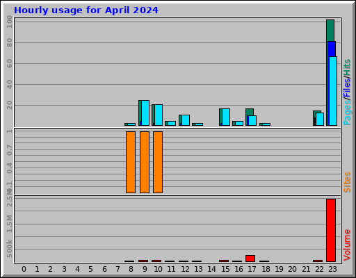Hourly usage for April 2024