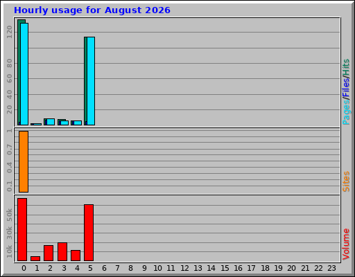 Hourly usage for August 2026