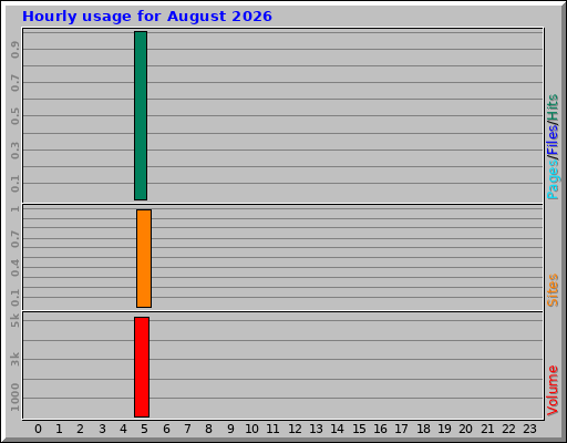 Hourly usage for August 2026