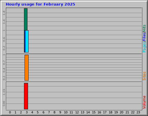 Hourly usage for February 2025 Hourly usage for February 2025