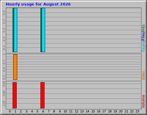 Hourly usage for August 2026